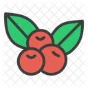 Cherry Cherries Thanksgiving Icon