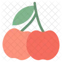 Cherry Fruity Berry Icon