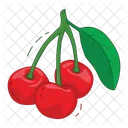 Cherry Fruit Fresh Icon