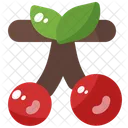 Cherry Spring Fruit Icon