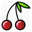 Fruit Cherry Food Icon