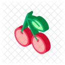 Cherry Fruit Leaf Icon