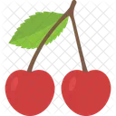 Organic Fruit Berries Icon