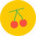 Cherry Fruit Spring Icon