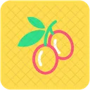 Cherry Fruit Healthy Icon