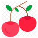 Cherry Fruits Food Icon