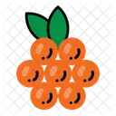 Fruit Simple Fresh Icon
