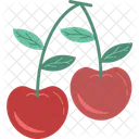 Cherry Fruit Berries Icon