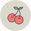 Cherry Cherries Berry Icon