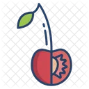 Cherry Fruit Healthy Icon