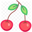 Cherry Cherry Fruit Fruit Icon