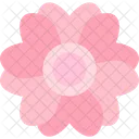 Cherry Blossom Flower Icon