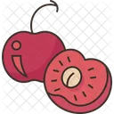 Cherry Berry Fruit Icon