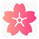 Cherry Blossom Botanical Blossom Icon