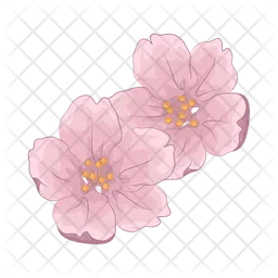 Cherry blossom  Icon