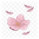 Cherry blossom  Icon