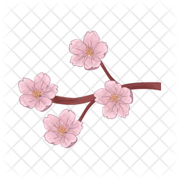 Cherry blossom  Icon