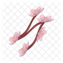 Cherry blossom  Icon
