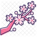 Mcherry Blossom Cherry Blossom Sakura Blossom Icon