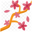 Cherry Blossom Sakura Flower Icon