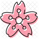 Cherry Blossom Blooming Flower Icon
