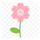 Flower Sakura Spring Icon
