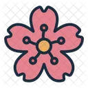 Cherry Blossom Flower Spring Icon