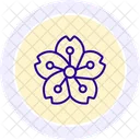 Cherry Blossom Flower Icon