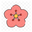 Cherry Blossom Sakura Flower Icon