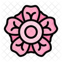 Cherry Blossom  Icon