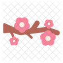 Cherry Blossom  Icon