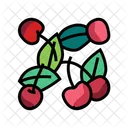 Cherry fruit  Icon