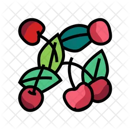 Cherry fruit  Icon