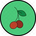 Cherries Icon Icon