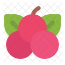 Cherry  Icon