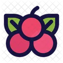 Cherry  Icon