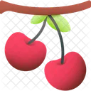 Cherry Food Fruit Icon