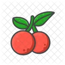 Cherry  Icon