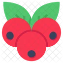 Cherry Fruit Cherry Berry Icon