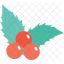 Cherry  Icon