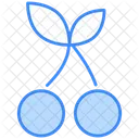 Cherry  Icon