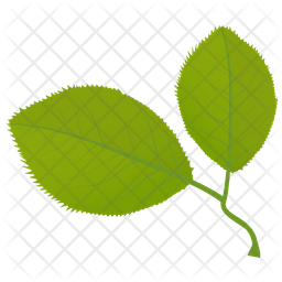 Cherry Leaves Icon