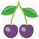 Cherry Plum Purple Icon