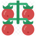 Cherry Tomato Vegetable Icon