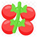 Cherry Tomatoes Healthy Icon
