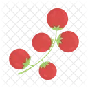 Cherry tomatoes  Icon