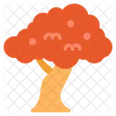 Cherry tree  Icon