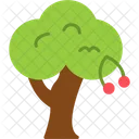 Cherry Tree  Icon
