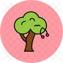 Cherry Tree  Icon