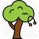 Cherry Tree  Icon